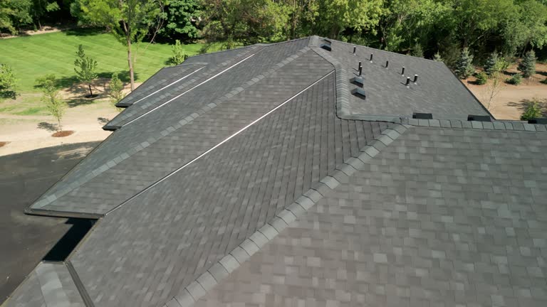 Best Solar Panel Roofing Installation  in Laguna Park, TX