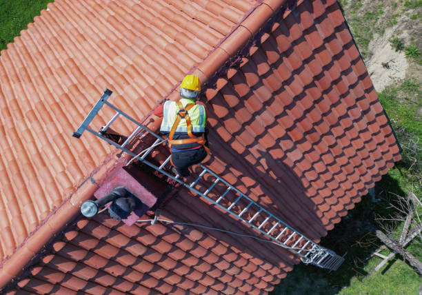 Best Roof Moss and Algae Removal  in Laguna Park, TX