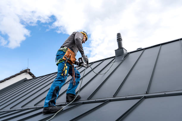 Best Green or Eco-Friendly Roofing Solutions  in Laguna Park, TX